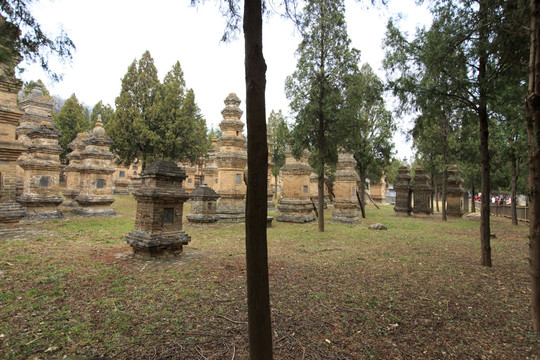 嵩山少林寺 塔林