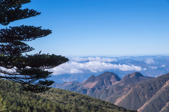 轿子山