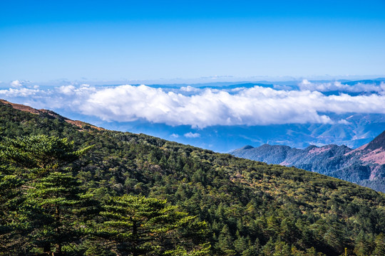 轿子山