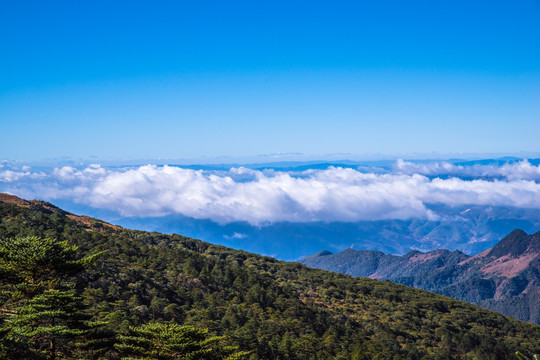 高山白云