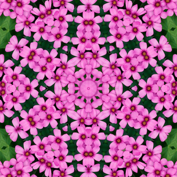 鮮花拼圖 鮮花裝飾背景 抽象畫