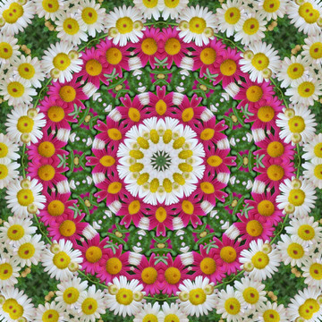 鮮花拼圖 鮮花裝飾背景 抽象畫