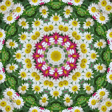 鮮花拼圖 鮮花裝飾背景 抽象畫