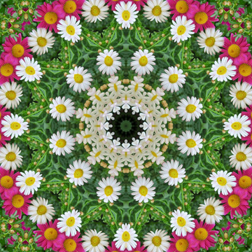 鮮花拼圖 鮮花裝飾背景 抽象畫