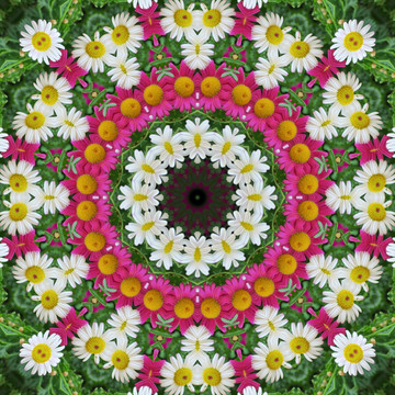 鮮花拼圖 鮮花裝飾背景 抽象畫