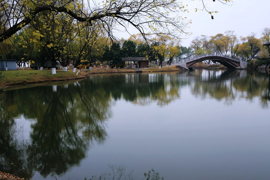 园林池塘风景