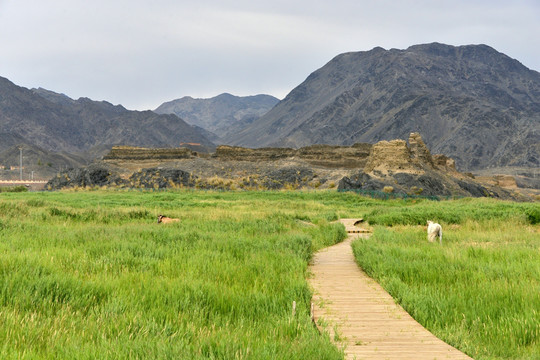 达坂城湿地公园