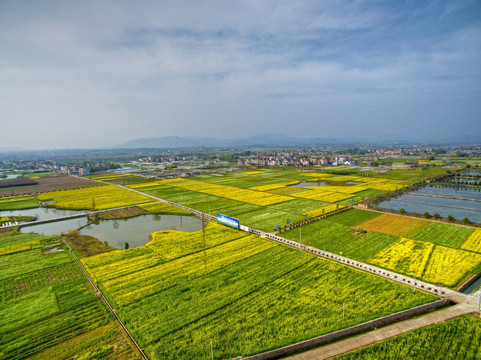 浙江兰溪岩头村油菜花田航拍