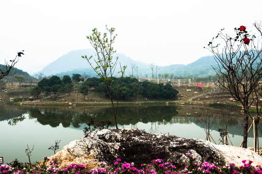 青山绿水 倒影