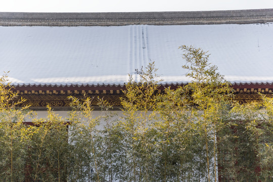 瓦房 屋顶积雪 竹子 庭院