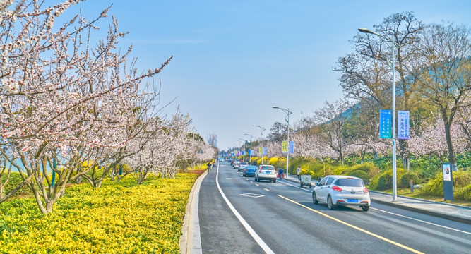 公路风光 高清大画幅