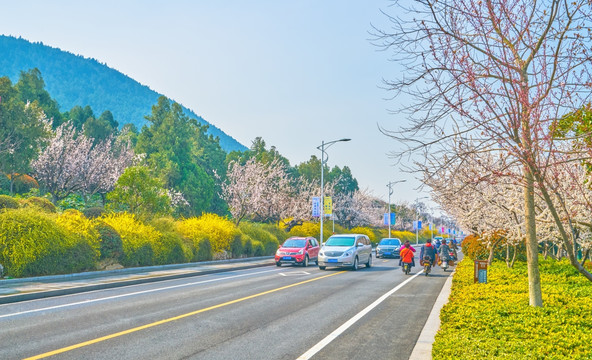 公路美景 高清大画幅