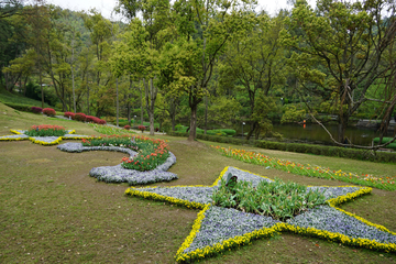 郁金香花展 公园景观