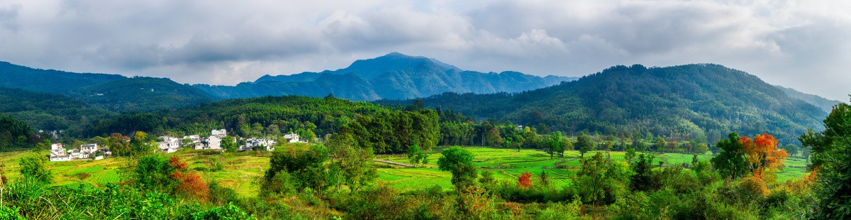 农村风景全景