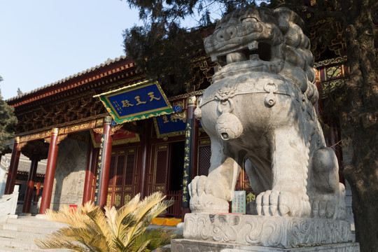 石狮子 净土宗祖庭香积寺大王殿