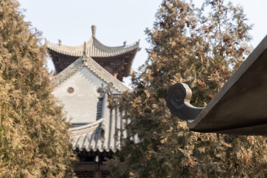 古观音禅寺 禅院 西安古银杏