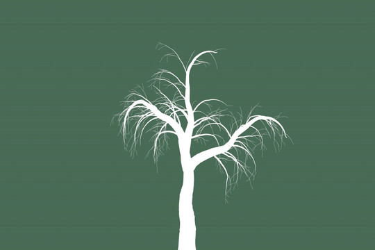 藝術(shù)樹木