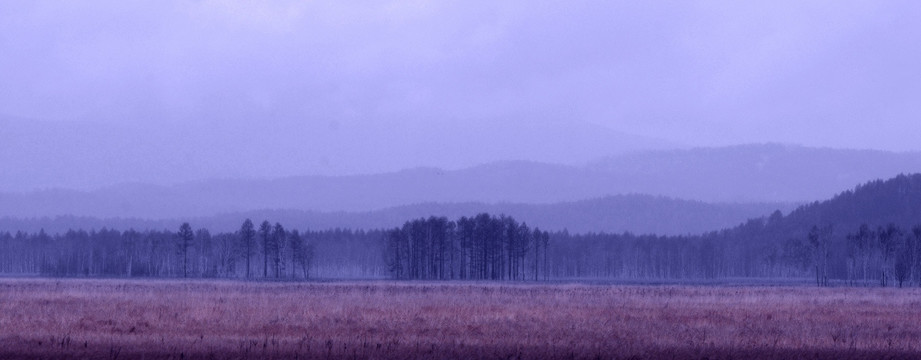 湿地山水画写意