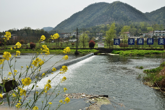 湿地 湿地公园