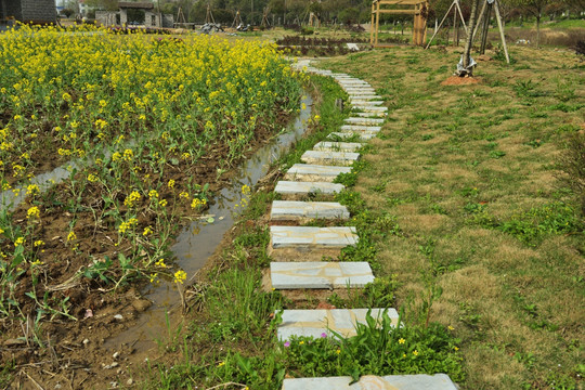 乡村注道 旅游小道 小道