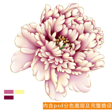 精美噴繪牡丹
