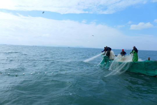 捕鱼 捞鱼 打鱼 渤海湾 渔船