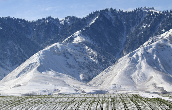 雪山