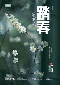 踏春樱花