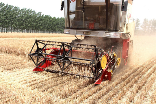 农业机械化 小麦收割 麦田