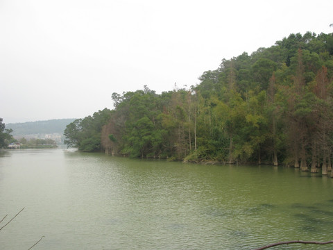 肇庆 鼎湖山 潭水 旅游景点