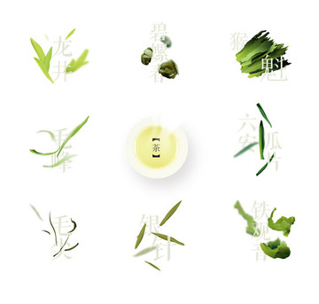 茶葉品種矢量圖