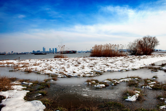 南京长江沿岸湿地