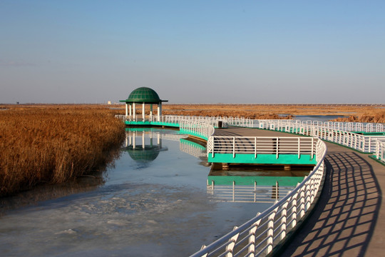 大庆 龙凤湿地