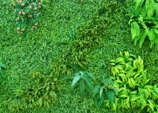 绿植墙 仿真植物墙图