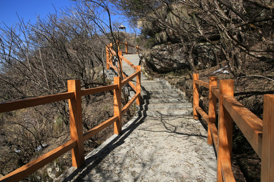 栈道 旅游 景观 建筑 阳光