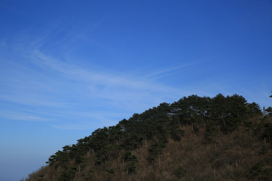 蓝天白云 松林 高山