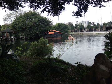 广州荔湾湖风景