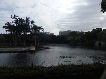 广州荔湾湖风景