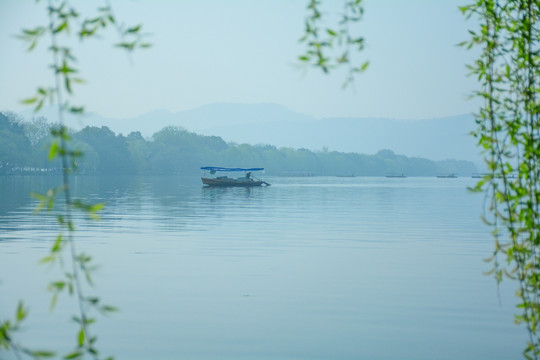 柳丝西湖