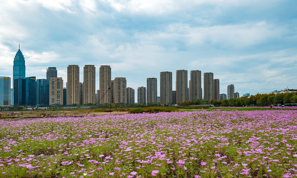 绍兴迪荡湖风光