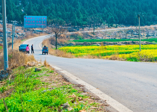 春天山野道路