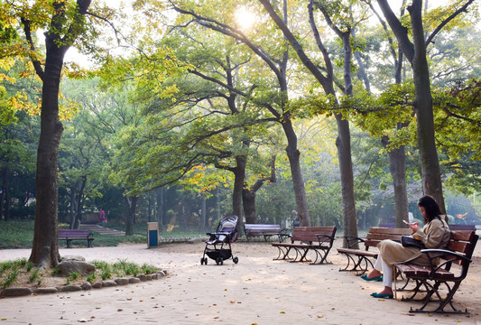 公园 休闲椅 乘凉