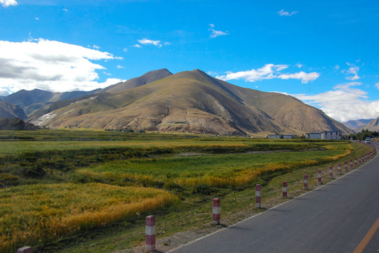 峡谷中的公路