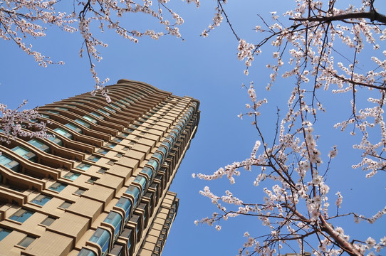 高层社区的居住环境