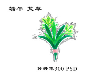 端午艾草