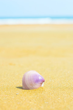 夏日海滩