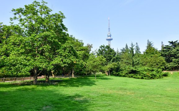 公园绿地 青岛