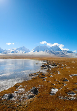 雪山下的湿地