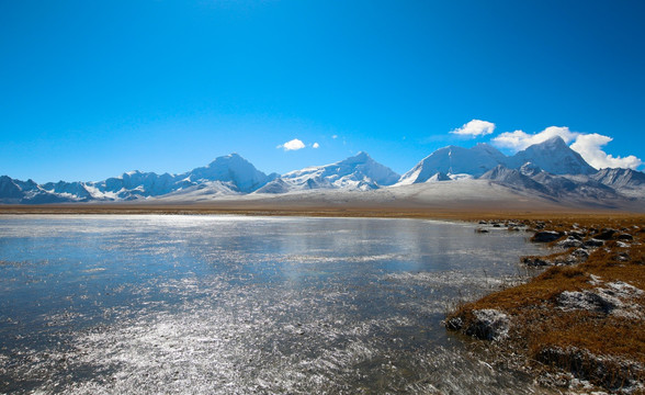 雪山下的湿地