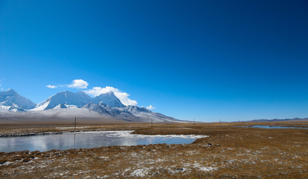 雪山下的湿地